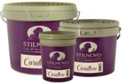 PITTURA DECORATIVA STILNOVO CARATTERE LT 12.