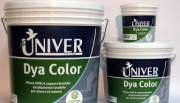 DYA COLOR SUPER LAVABILE UNIVER BIANCO LT 2,5.